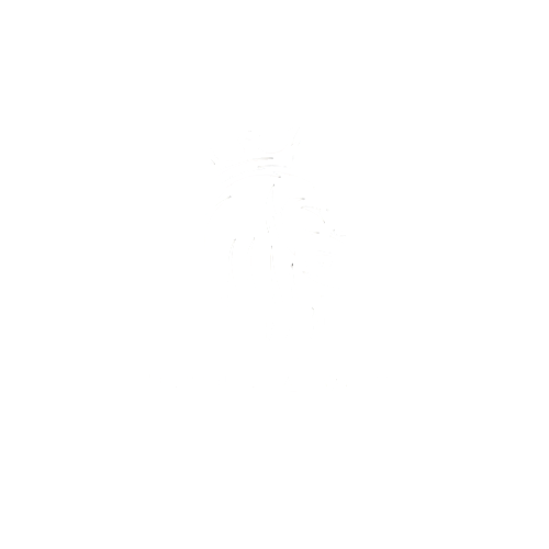 nenawp logo